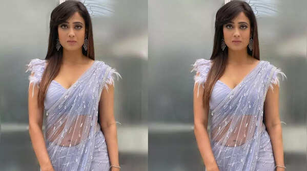 Shweta follows a diet plan