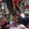 ​Observances and rituals​