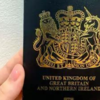 Belgium, Denmark, New Zealand, Norway, Switzerland and United Kingdom