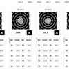 A detailed view of Ramita's 60 shots that took her to the women's 10m air rifle final