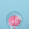 Article image for: Improves <i class="tbold">cognitive function</i>
