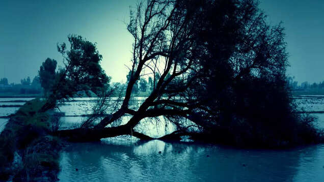 Devastating cloudbursts hit Himachal Pradesh and Uttarakhand; severe damage reported