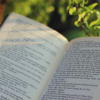 Article image for: Read Extensively