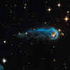 ​Caterpillar Star