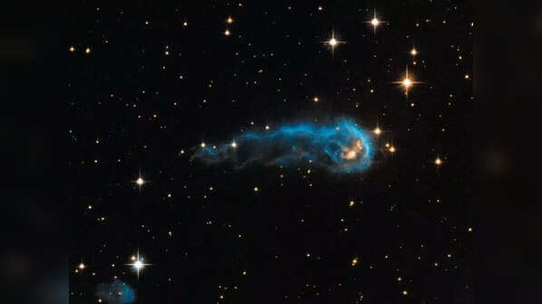 Caterpillar Star
