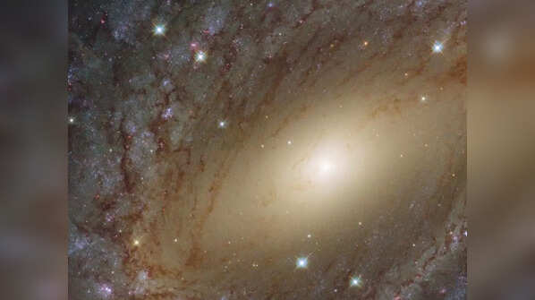 Spiral Galaxy
