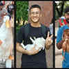 Duck, rabbit and hen