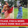 Article image for: Hasina's Ganabhaban Looted: Dior <i class="tbold">suitcase</i>, Saree, Fish, Ducks & More | Protesters Leave Nothing