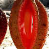 Hydnora Africana