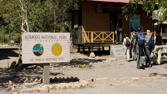 Petualangan satwa liar di Pulau Komodo, Indonesia: Tempat terbaik untuk melihat komodo