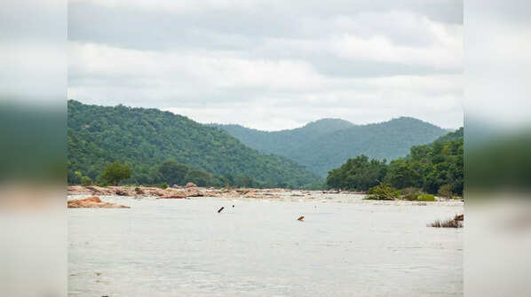 Kaveri