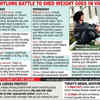 Paris Olympics Live, Day 13: What led to Vinesh announcing her retirement