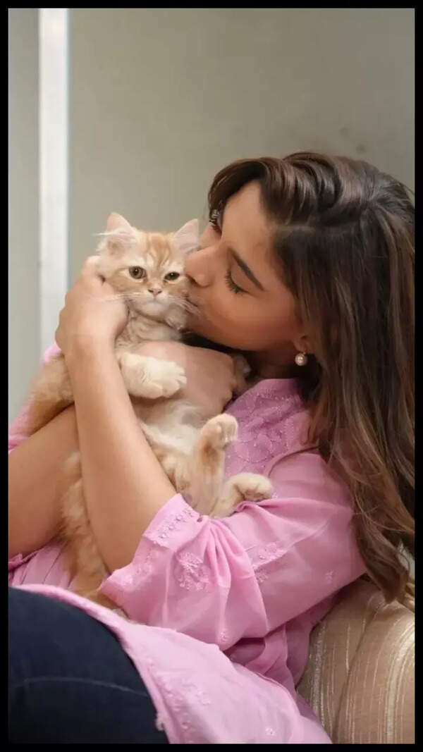 Saiee Manjrekar