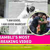 Article image for: Ex-Cricketer <i class="tbold">Vinod Kambli</i> Shares Health Update; Finally Breaks Silence | WATCH