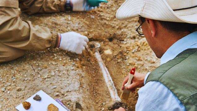 Brazil: World’s oldest-ever dinosaur fossil exposed by torrential rains!