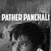 Article image for: See the latest photos of <i class="tbold">pather panchali</i>