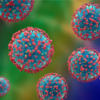 ​Hantavirus​