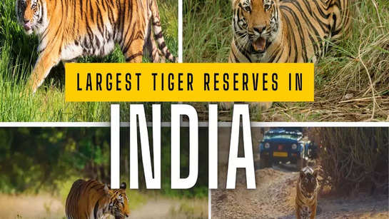 Largest tiger reserves in India