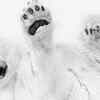 ​​Come, play with me- Eberhard Ehmke