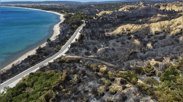 Winds spread Izmir fire to homes