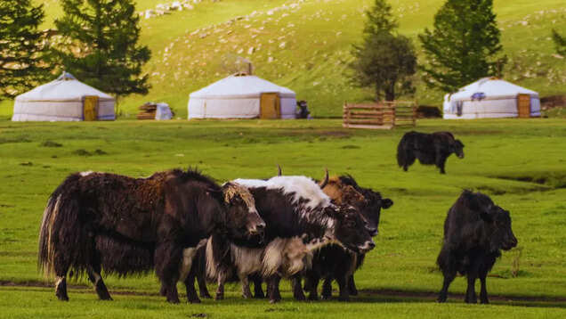 “Welcome to MonGOlia”: A lesser-explored Asian gem reemerging on the global tourism stage