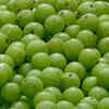 Article image for: Amla (<i class="tbold">indian gooseberry</i>)