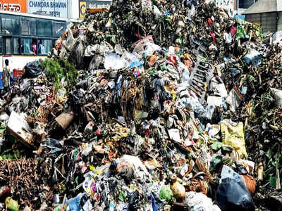 Harlur drowning in garbage: BBMP fails to act