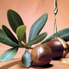 Benefits of Argan Oil