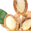 Does Argan Oil promote hair growth?