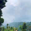 Article image for: In Pics: <i class="tbold">shyamoupti mudly</i>’s travel diary