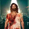 Article image for: Animal – Rs 300.81 Crore