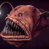 ​Anglerfish