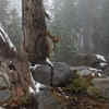​Unseasonal snowfall hits California, closes highways