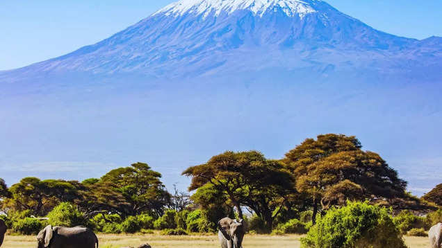 5 year old Teghbir Singh becomes youngest Asian to conquer Mount Kilimanjaro in Africa