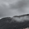 Article image for: <i class="tbold">norway</i>