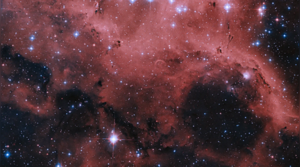 Hubble captures N11’s stellar bubbles