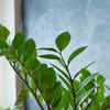 wood wall planter indoor Slim 12 Inch Wood Wall Planter Sconce Vase with Pocket & Eucalyptus main image 1