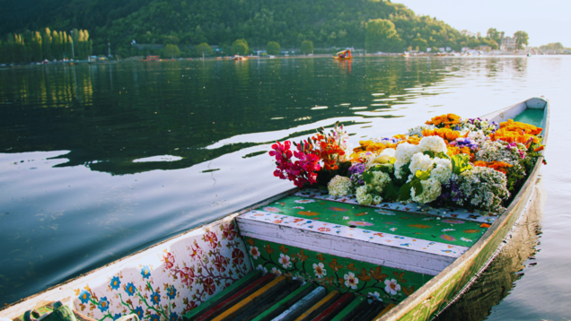 Dal Lake, the jewel of Kashmir, and why it should be on your travel wishlist