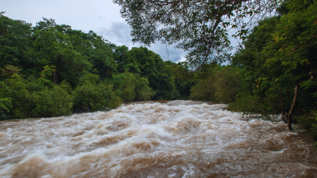 Travel alert: From Gujarat to Andhra, places facing flood-like situation due to heavy rainfall