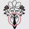 If you saw the tie 