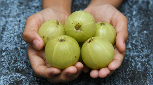 Drink Amla juice daily