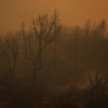 Article image for: Orange skies over <i class="tbold">san bernardino</i>