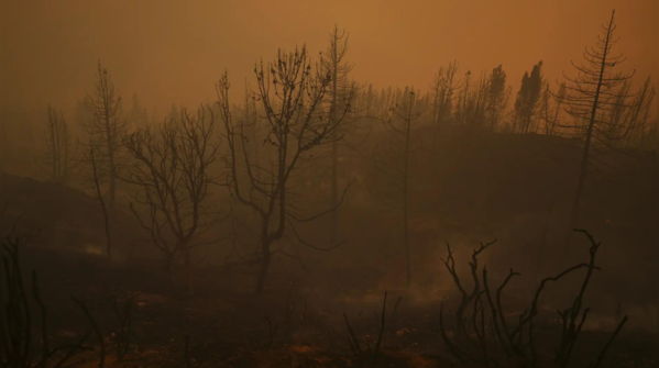 Orange skies over San Bernardino
