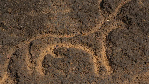 In search of petroglyphs in Konkan and Ladakh region: The rock carvings of our prehistoric ancestors