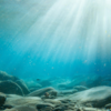 Article image for: The Deepest Place on Earth
