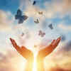 ​Forgive some, ask for forgiveness from others 