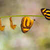 ​Change yourself before others 