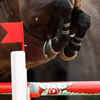 Royal Mysore may win Pune City Gold Cup