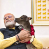 Social media showering over Deepjyoti