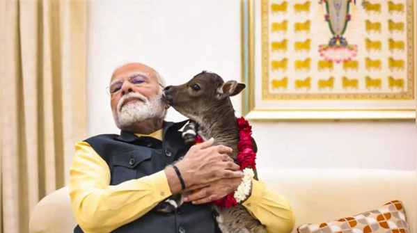 Social media showering over Deepjyoti